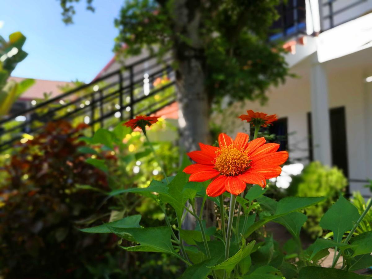 Angkor Hotel Sziemreap Kültér fotó